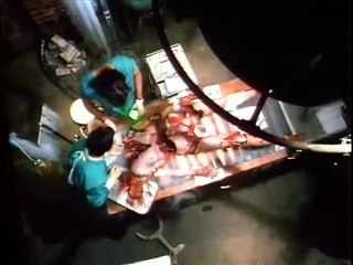 La novia de Re-Animator Tráiler VO