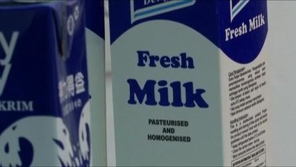 SUKSES: Pengusaha IKS keluar dari kepompong Asia