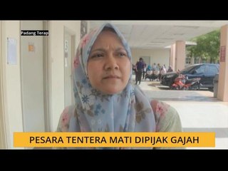 Pesara tentera mati dipijak gajah