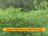 Tanah rizab Melayu makin hilang