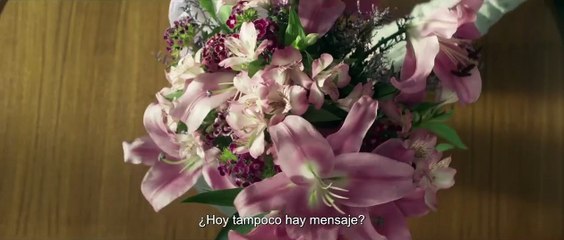 Loreak (Flores) Tráiler VO