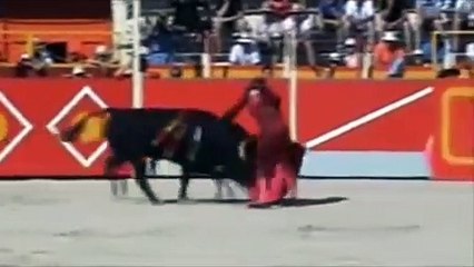 Taurinas Tráiler