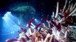 James Cameron's Deepsea Challenge 3D Tráiler VO