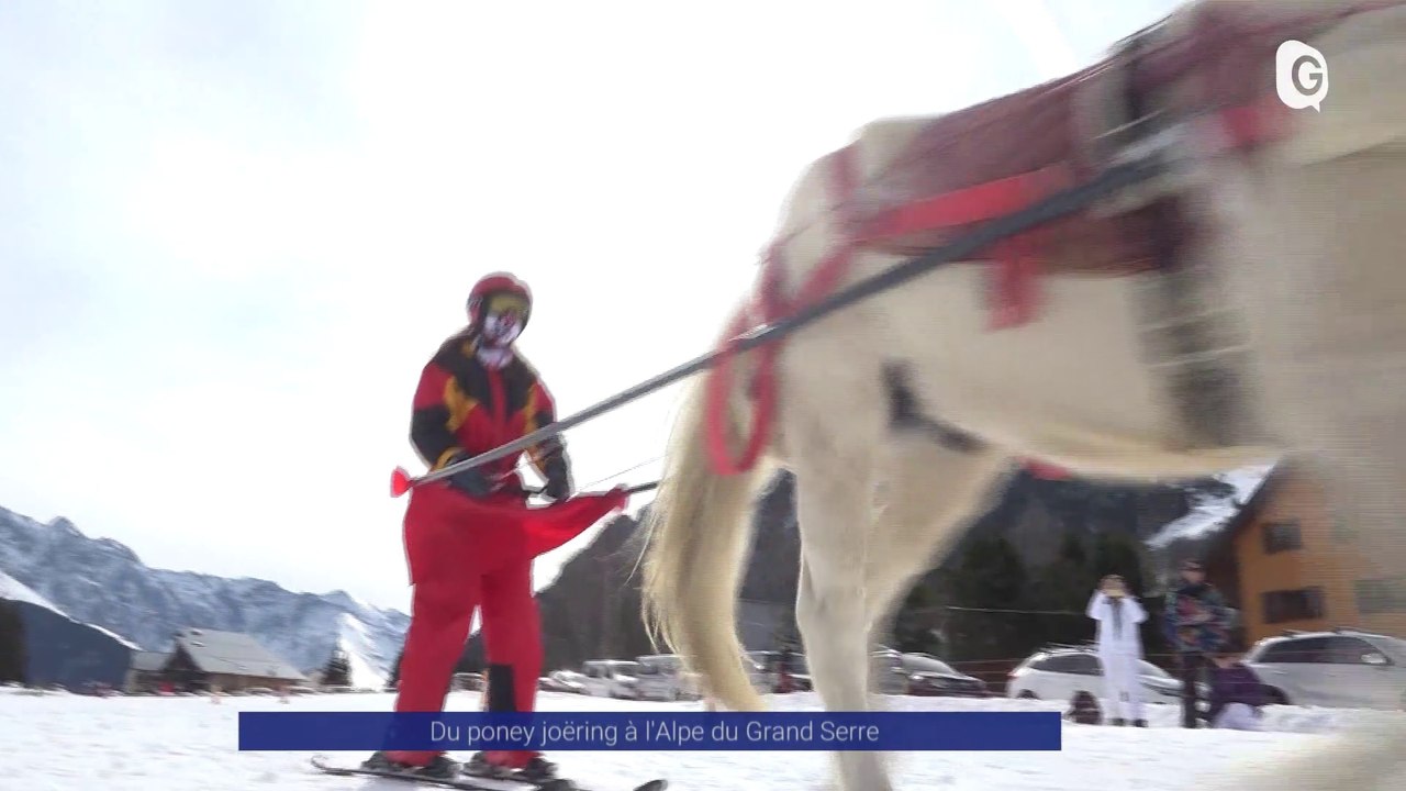 Reportage - Du poney joëring à l'Alpe du Grand Serre