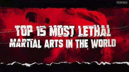 TOP 15 MOST LETHAL MARTIAL ARTS IN THE WORLD