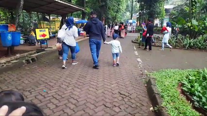 Ragunan zoo jakarta 2021 berikut cara daftar onlinenya