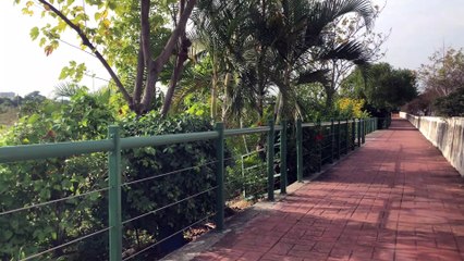 TEST CAMERA IPHONE 8 PLUS 4K 60 FPS