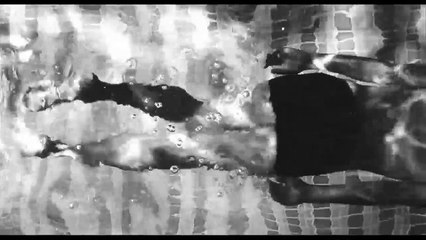 Shit Year Tráiler VO