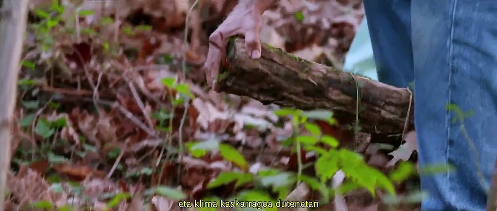 Gutik zura Tráiler VO