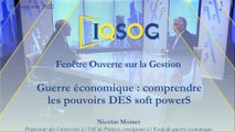 Guerre économique : comprendre les pouvoirs DES soft powerS [Nicolas Moinet]