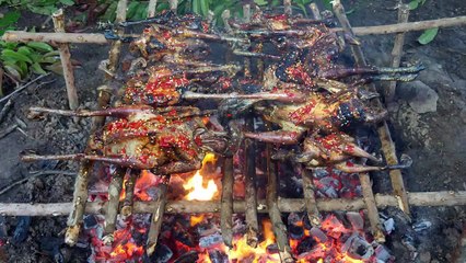 World Cuisine - Yummy Cooking 11Chicken Eating Delicious 34