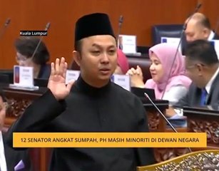 12 Senator angkat sumpah, PH masih minoriti di Dewan Negara