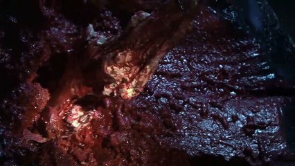 Mega tiburón contra pulpo gigante