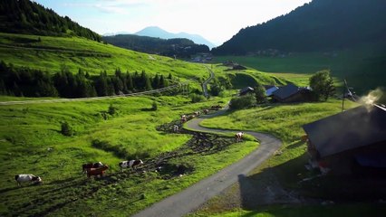 The Seasons in Quincy: Four Portraits of John Berger Tráiler VO