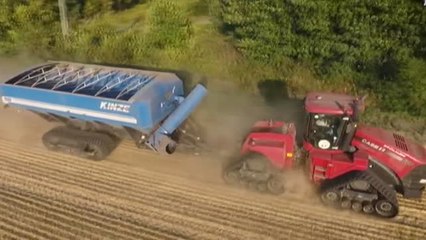 La guerra en Ucrania ya provoca un aumento del precio de los cereales