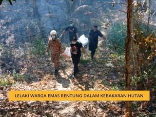 Lelaki warga emas rentung dalam kebakaran hutan