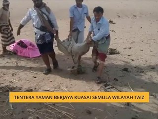 Tentera Yaman berjaya kuasai semula wilayah Taiz