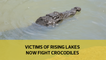 Victims of rising lakes now fight crocodiles
