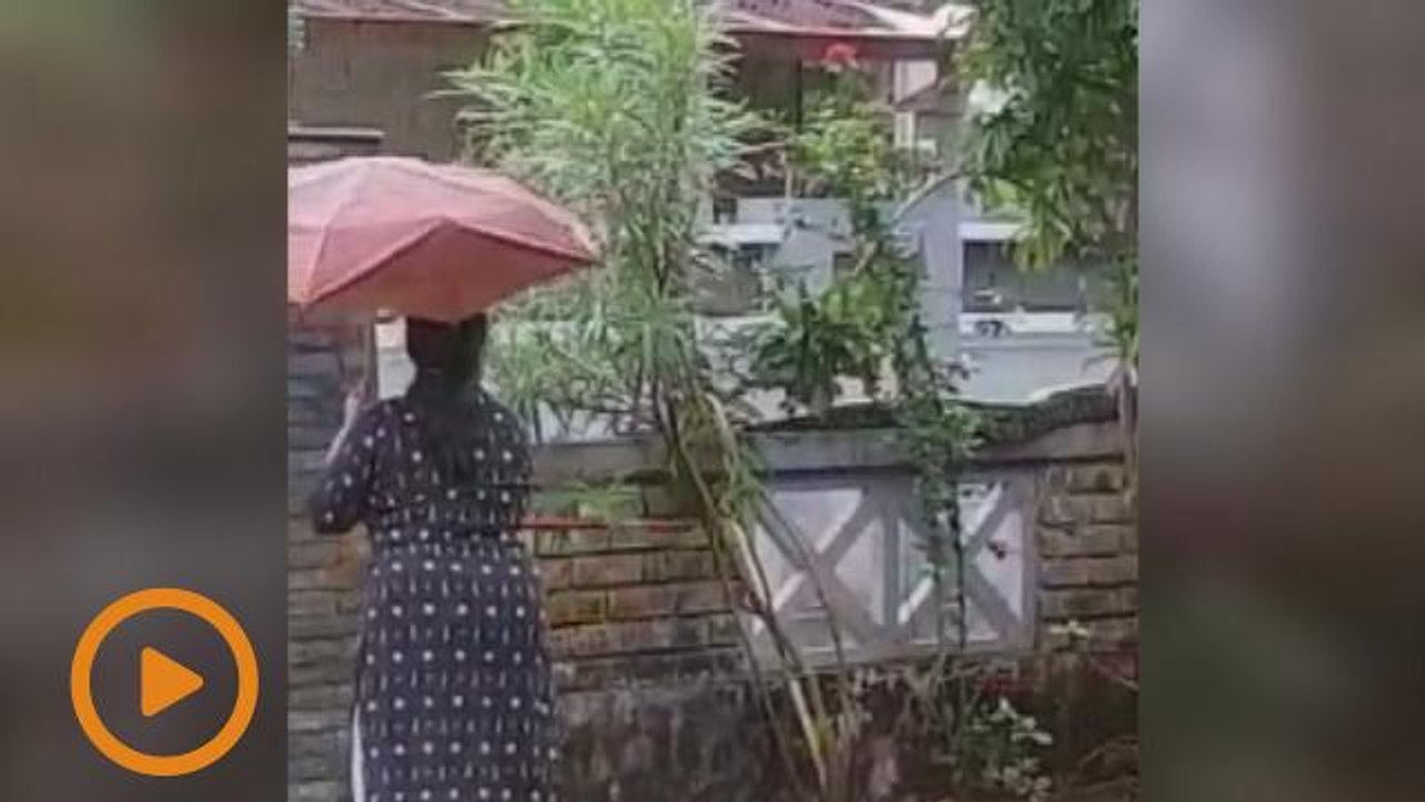 Ular melingkar atas pagar?