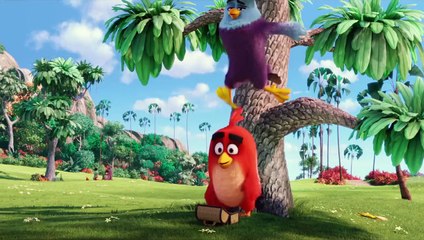 Angry Birds: La película Tráiler (6) VO