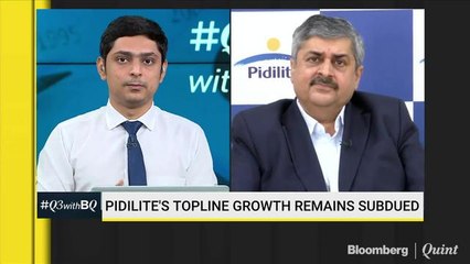 Pidilite’s Q3 Ebitda Expands On Lower Input Costs, Strong Product Mix