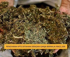 Pensyarah IPTS ditahan dengan ganja bernilai RM22,300