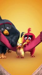Angry Birds: La película Clip