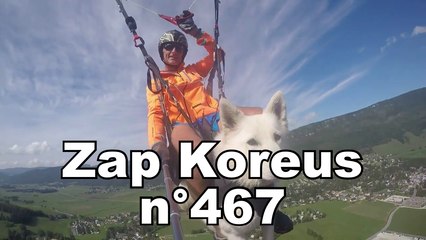 Zap Koreus n°467