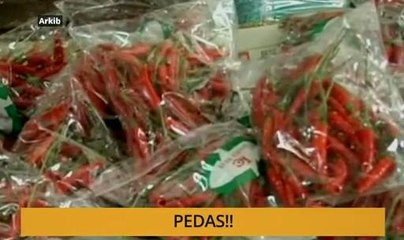 Tanam: Pedas!!