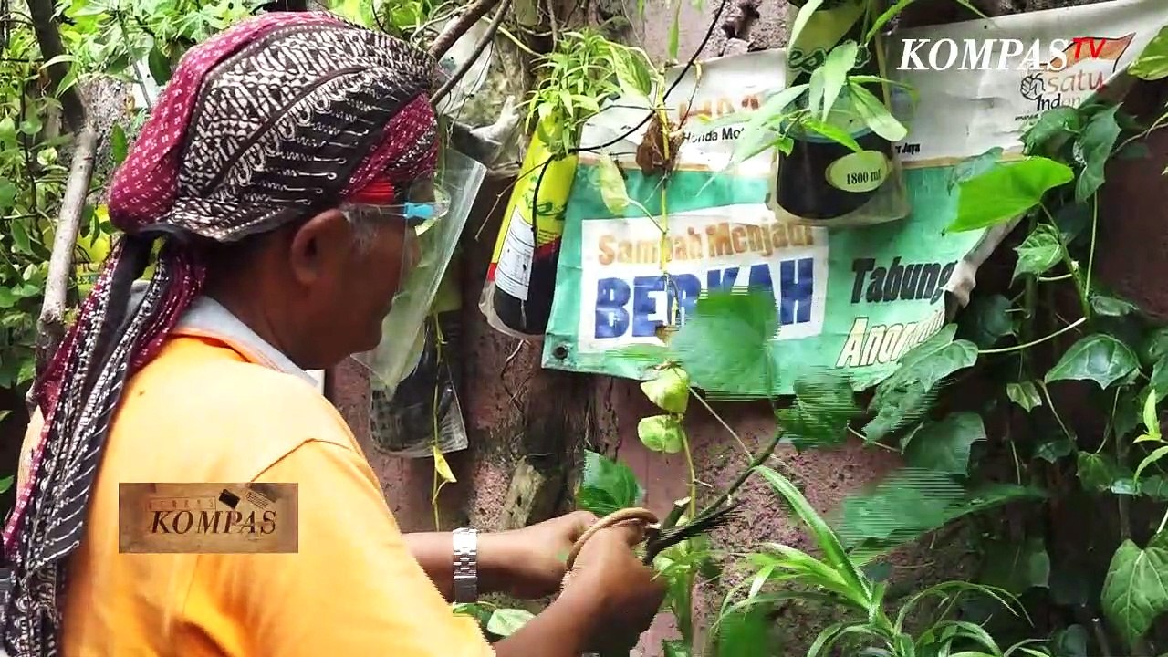 Jakarta Krisis Ruang Terbuka Hijau  Asa Lestari di Belantara Beton Jakarta| BERKAS KOMPAS (3)