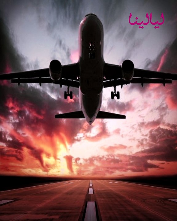 ليالينا ترند-أكبرُ لغزٍ في تاريخِ الطيرانِ الحديثِ.. طائرةٌ اختفتْ في ظروفٍ غامضةٍ وظهرتْ بعدَ خمسةٍ وثلاثينَ عامًا