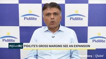 Pidilite's Consumer And Bazar Segment De-Grows