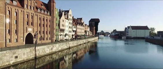 Tráiler oficial Hombre propone, Dios dispone