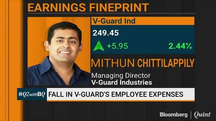 Going Through A Tough Phase Due To Realty Slowdown: V Guard
