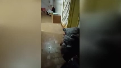 La angustia de las familias de acogida de niños ucraniananos