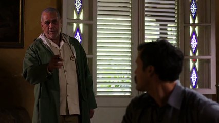 Tráiler de 'Nido de Mantis'