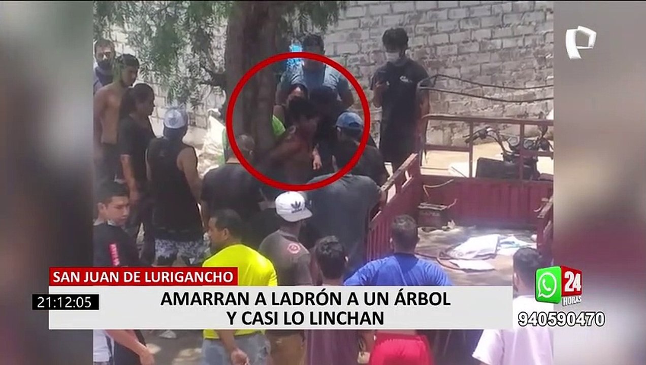 Hartos de la inseguridad, vecinos amarraron a ladrón a un árbol y casi lo linchan en SJL