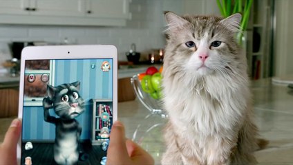 Mi papá es un gato Clip VO