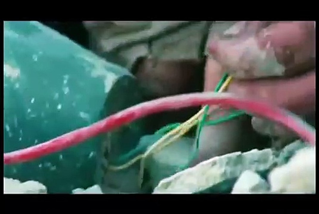 Tráiler Zona de miedo