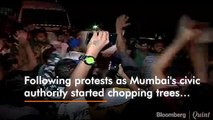 Aarey Protests Continue, Bombay HC Refuses Stay On Cutting Of Trees
