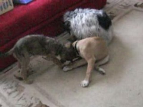 tequila et cannelle mars08