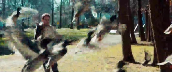 The Skeleton Twins Tráiler (2) VO