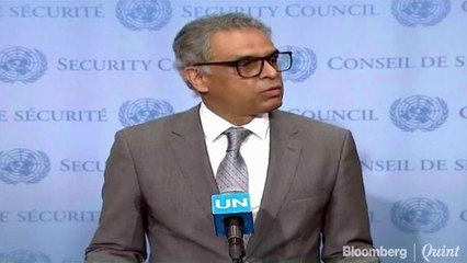 Matters Relating To Article 370 Are Internal: Syed Akbaruddin
