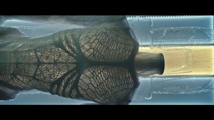 Alien: Covenant Clip VO