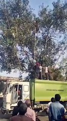 VIDEO: पतंग की डोर में फंसा चील, मशक्कत के बाद बची जान