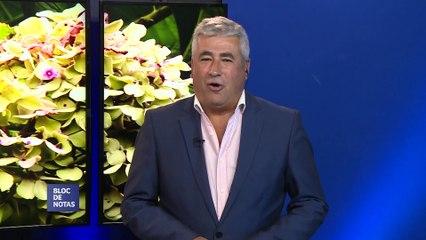 BLOC DE NOTAS SEMANAL - PROG 198