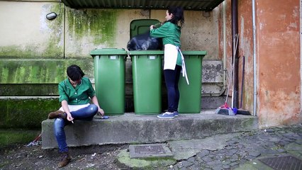 Los objetos amorosos Teaser