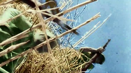 España en dos trincheras. La guerra civil en color – Tráiler