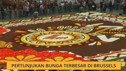 Pertunjukan bunga terbesar di Brussels