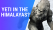 Is There A Yeti In The Himalayas? The Indian Army Sure Thinks So
